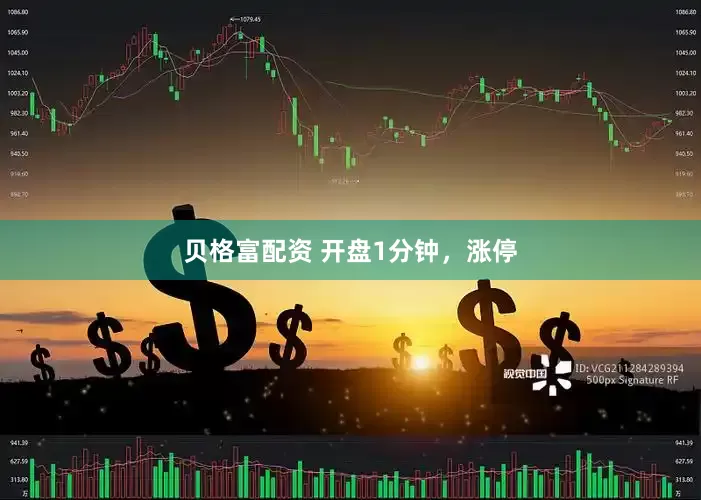 贝格富配资 开盘1分钟，涨停