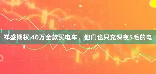 祥盛期权 40万全款买电车，他们也只充深夜5毛的电