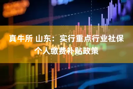 真牛所 山东：实行重点行业社保个人缴费补贴政策