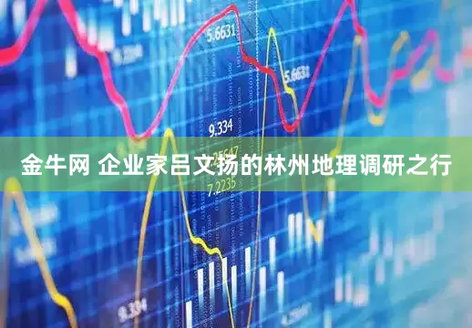 金牛网 企业家吕文扬的林州地理调研之行